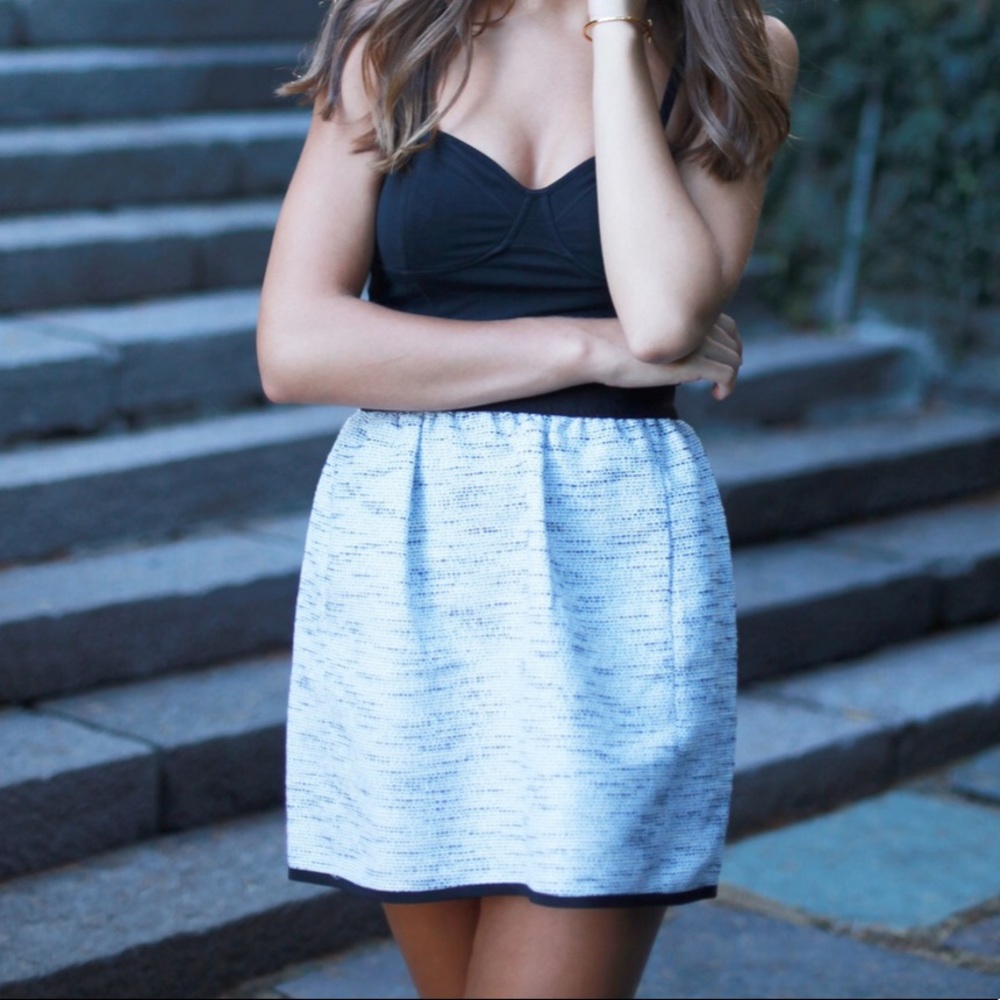 Aritzia Skirt